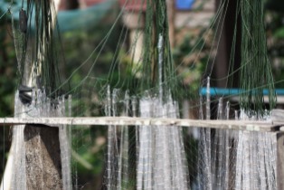 Fisher nets drying in the sun